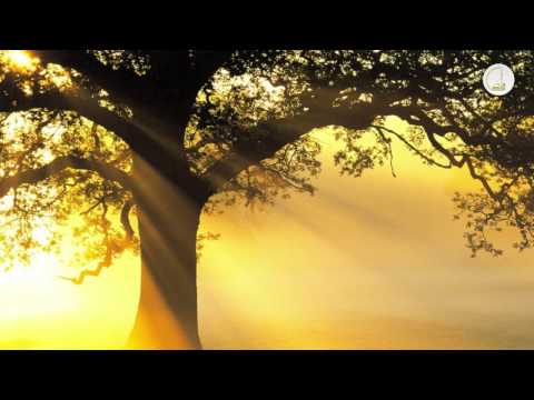 NGJARJE / Ademi a.s. (Jetëshkrimi i profetëve të mëdhenj)