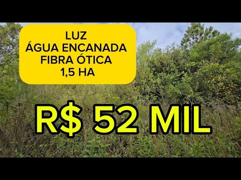 Vídeo