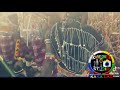 JIMINOGENI DOTO SHOW HATALI 30 5 2026