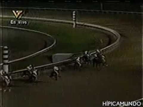 Clásico Int. Del Caribe año 2000, My Own Business... 🏇🏇🏇