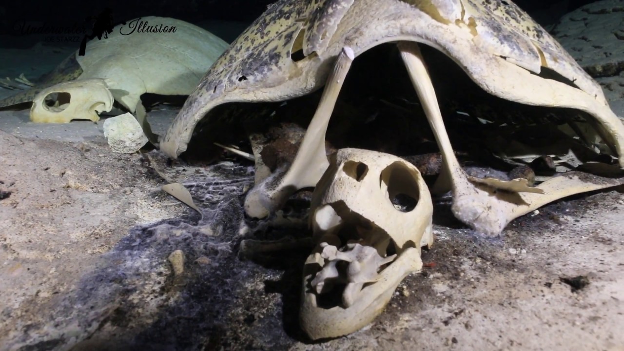 Dare yourself to dive into this cave of wonders and challenges ~ Turtle Cave/Turtle Tomb facade placeholder