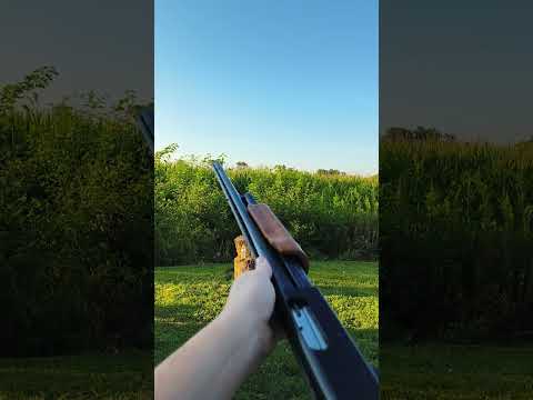 Mossberg 152k 22LR Rifle