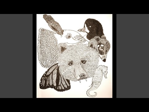 The Ballad of Bird and Fox