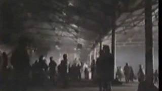 Sense of purpose By Third World Music Video