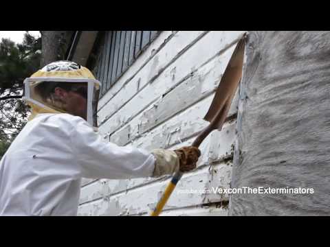 Vexcon The Exterminators - Web Series (Teaser)