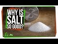 Why Does Salt Make Food Taste Better?
