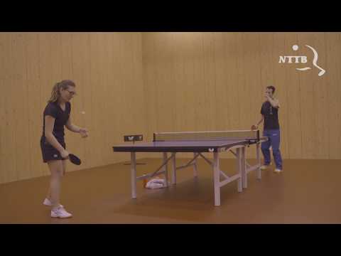 Lange samenvatting Masterclass 'Verdedigen' door Elena Timina