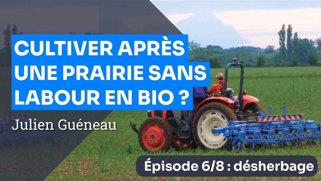 Épisode 6 : Le désherbage du maïs - Implanter une culture en Bio sans labour après prairie