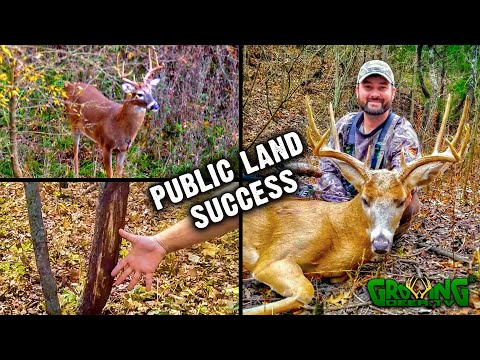NICE Kansas Public Land Buck Tagged! Hunting Action Heats Up - November 2020 (#589)