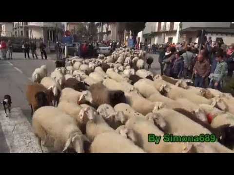 Transumanza Ovini e Caprini, Demonte, Fiera San Luca