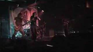 Rishloo-Freaks &amp; Animals