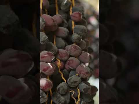 The Ultimate Tasting Experience: Ajwa Dates from Madinah