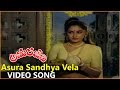 Asura Sandhya Vela Video Song Amarajeevi Movie ANR Jaya Pradha Sumaltha Sharath Babu