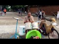 Tour Sighseeing Daily Life In Thailand Chiang Mai And Bangkok