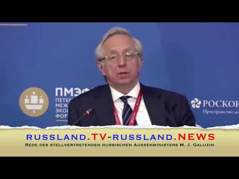 Rede des stellvertretenden russischen Außenministers M.  J.  Galuzin