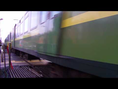 Dart train number 8133 crossing Serpentine Avenue