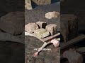 How Peine Forte Et Dure Worked