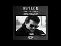 I'm So Lonesome I Could Cry by Waylon Jennings from his album Waylon sings Hank Williams