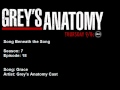 718 Grey's Anatomy Cast - Grace 