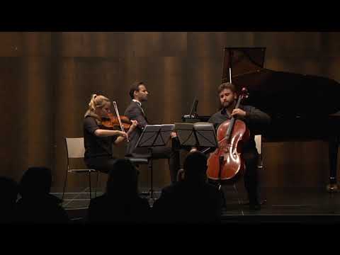 A. Dvorak - Piano Trio No. 4 in e minor, op. 90 ''Dumky'' (live recording)