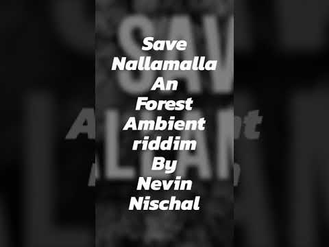 Nevin Nischal Pathi Background composition