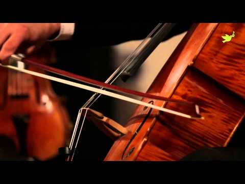 Artiom Shishkov, Alexander Ramm, Maria Nemtsova - Beethoven. Triple Concerto in C Major