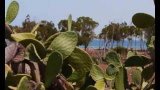 preview picture of video 'Playa de los Genoveses San Jose Almeria'