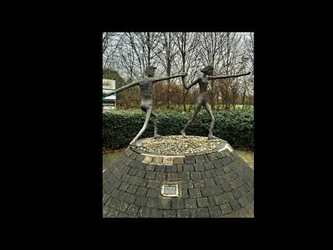 Newbridge Town, Co. Kildare