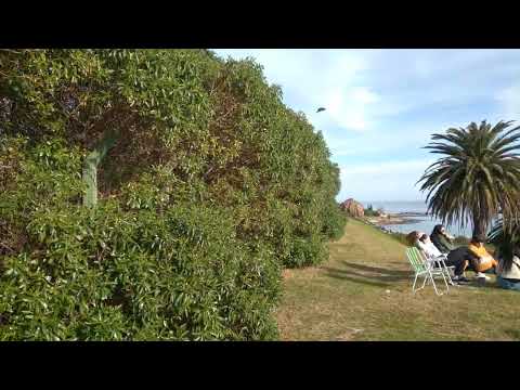 Canteras del parque Rodó,  Montevideo (cuarta parte)