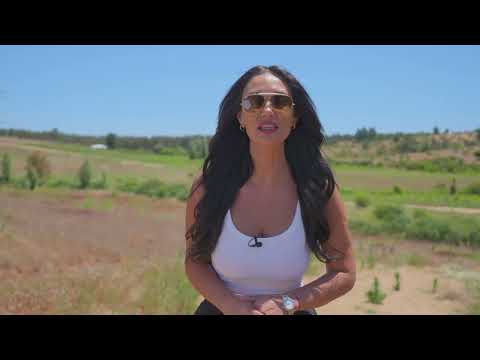 VIÑAS DE CAUQUENES PARCELAS EN LA REGIÓN DEL MAULE ENTREGA INMEDIATA, ROL PROPIO, CAMINOS DE ACCESO