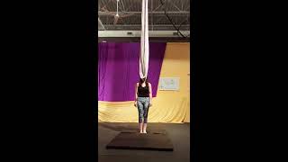 Aerial Hammock- Winter Showcase- Descending by Butch Walker