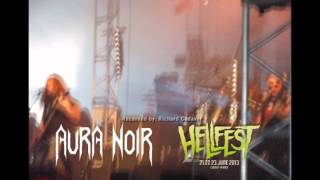 Aura Noir- Fight Till Death (SLAYER cover)- Hellfest 2013