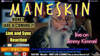 Måneskin - Link and Sync Reaction - HONEY (ARE U COMING?) live on Jimmy Kimmel Live!