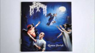 Messiah - Ascension Of a Divine Ordinance