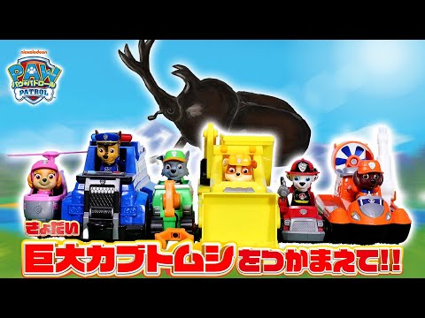 パウ・パトロール『昆虫が逃げ出した！？アルティメットに合体だ！』【タカラトミーキッズ】PAW Patrol | おはなし | おもちゃ | タカラトミー公式