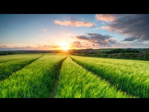 Liquid Drum and Bass Mix 344 - Guest Mix: FinnaDrift