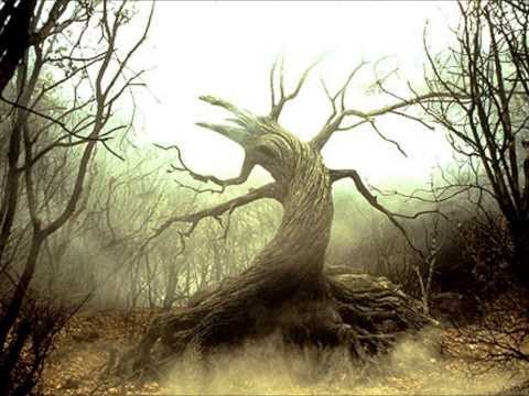 Video thumbnail for #10 (Tree)