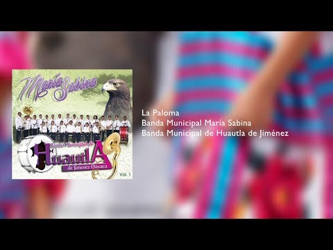 Guelaguetza 2018 - Sones Mazatecos