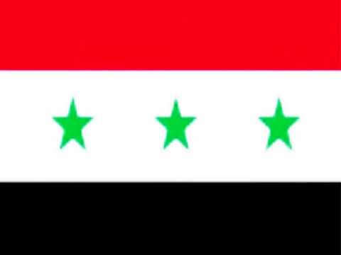 علم الثوار محمد فوزي