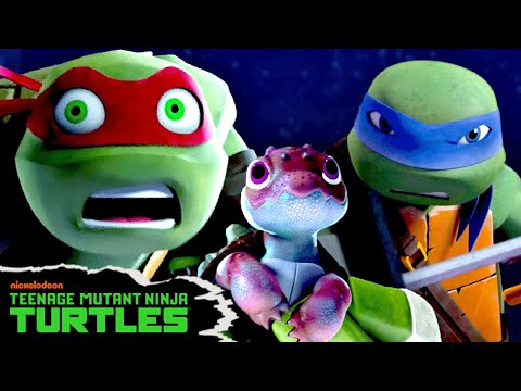 Ninja Turtles Battle an ARMY to Reunite a Baby Tortoise with their Mom! | Full Scene | TMNT