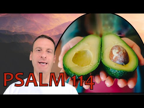 Psalm Chapter 114 Summary and What God Wants From Us