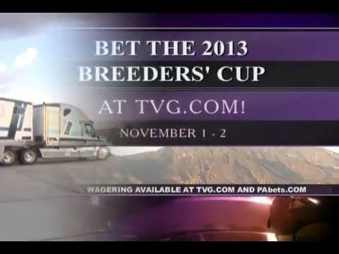 Breeders Cup 2013: TVG cameras capture champ Wise Dan flying to California.