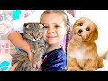 Diana And Animal Stories For Kids