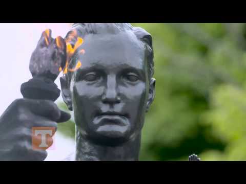 Utk Nursing Program