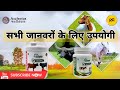 अब AWPL रखेगा आपके पालतू जानवर का ख्याल Vetd
