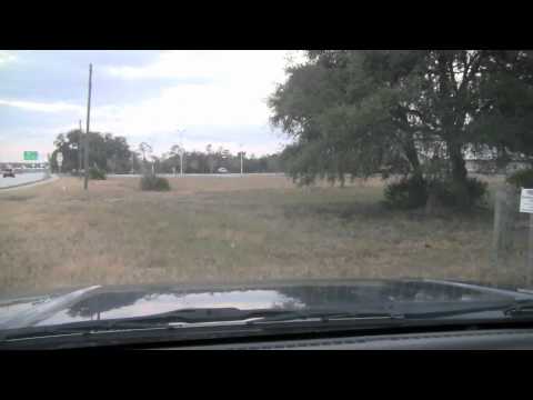 Florida Wild Hog Trapping Church Property Day 1