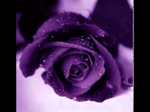 Ramona - doar cu mine