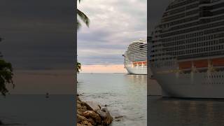 MSC World America 🛳️⚓️ #yt #share #subscribe #shortvideo #shortsvideo #shorts #youtube #comment