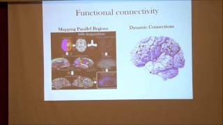 Natalie Phillips - MSU - Literary Neuroscience: An fMRI Study of Attention and Jane Austen