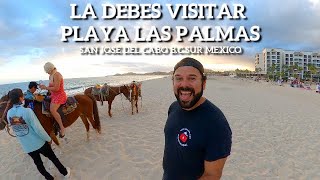 Playa las Palmas Increible Playa que debes de Visitar en San Jose el Cabo B.C.Sur Mexico 20-12-21